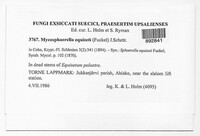 Mycosphaerella equiseti image